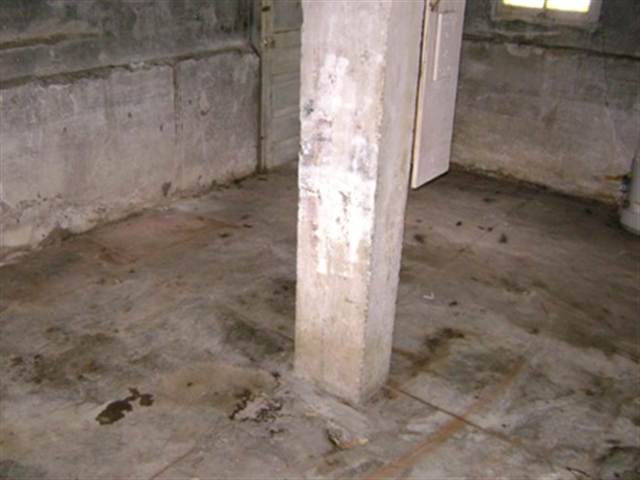 Listing Picture 644 Cecil Avenue Louisville, KY 40211 MLS HK10005003