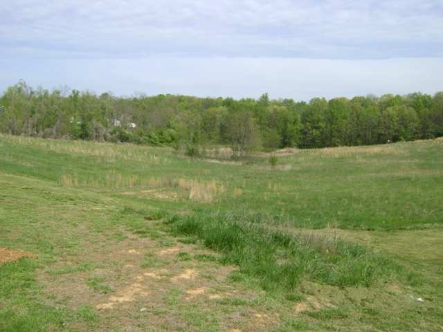 Listing Picture 240 Meadow Wood Drive Brandenburg, KY 40108 MLS HK10005247