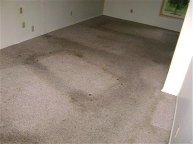 Listing Picture 4607 Balaton Drive Louisville, KY 40219 MLS HK10005645