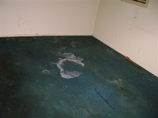 Listing Picture 4607 Balaton Drive Louisville, KY 40219 MLS HK10005645