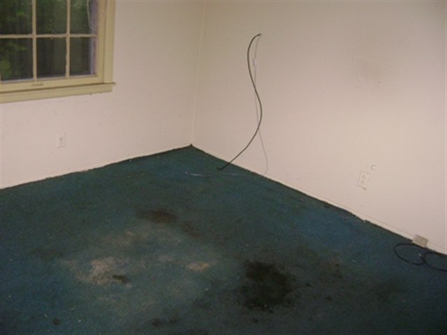 Listing Picture 4607 Balaton Drive Louisville, KY 40219 MLS HK10005645