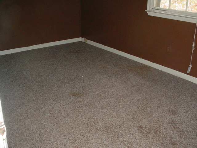 Listing Picture 887 Massey Road Lebanon Junction, KY 40150 MLS HK10009450