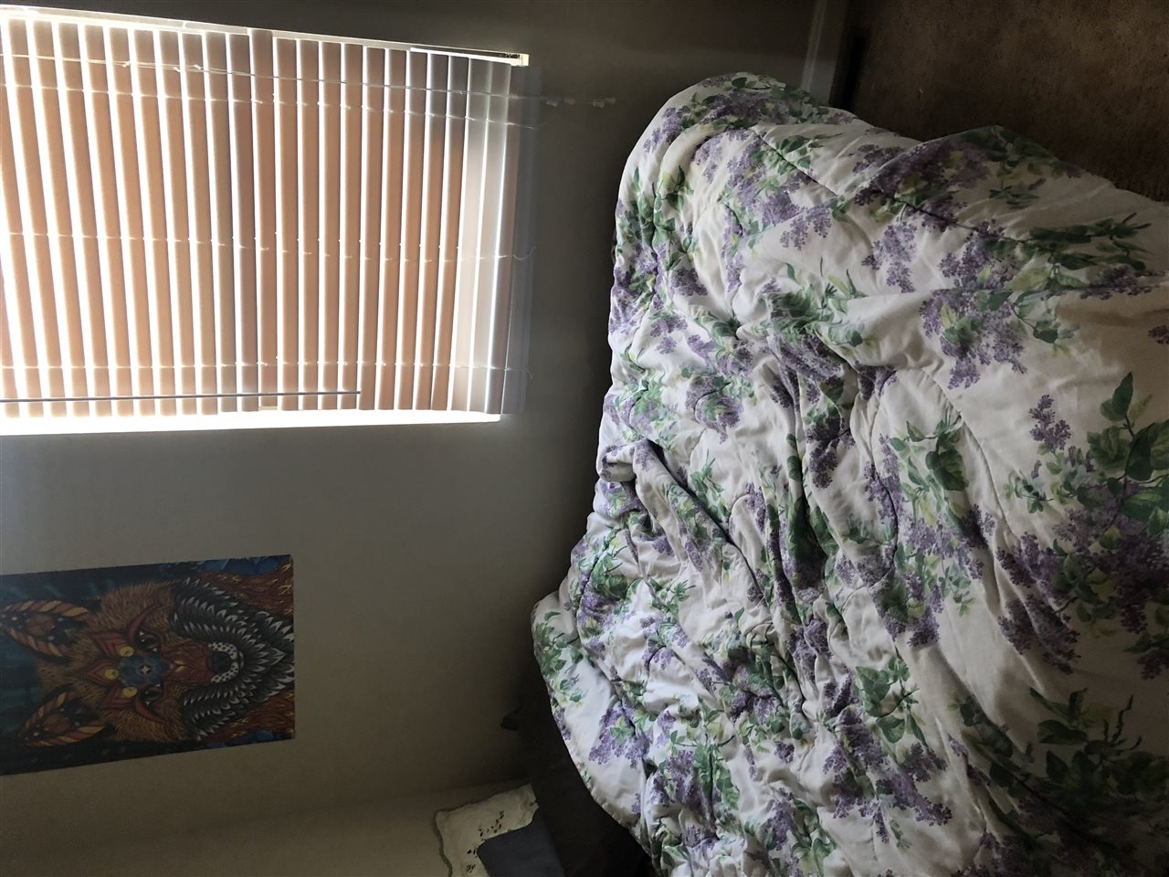 Listing Picture 106 B Melanie Lane Elizabethtown, KY 42701 MLS HK10042421