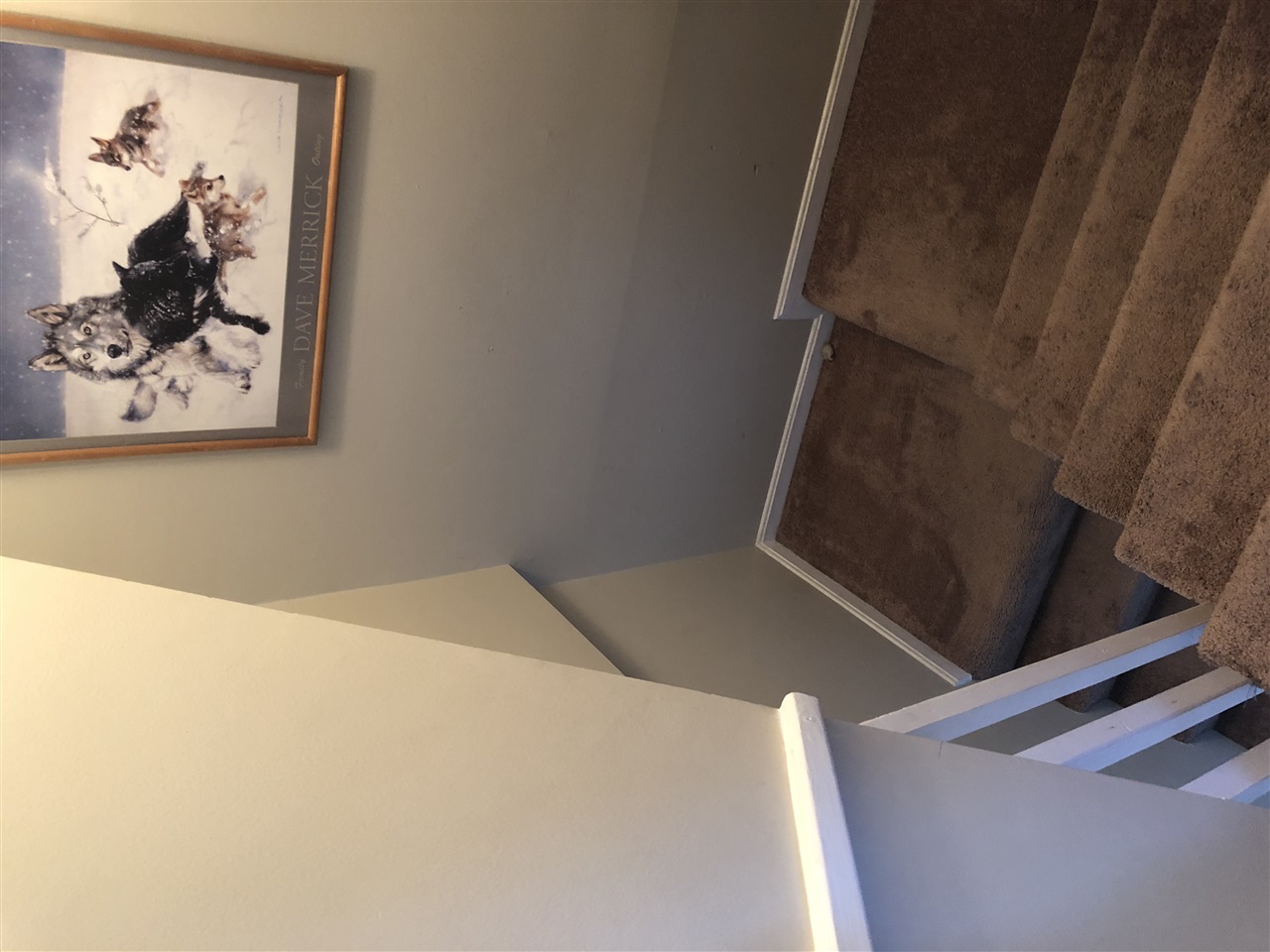 Listing Picture 106 B Melanie Lane Elizabethtown, KY 42701 MLS HK10042421