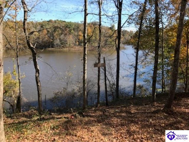 Listing Picture 1243 Fentress Hideout Westview, KY 40178 MLS HK10042577