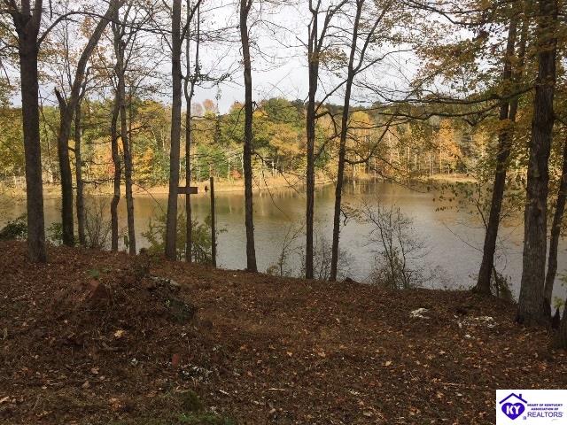 Listing Picture 1243 Fentress Hideout Westview, KY 40178 MLS HK10042577