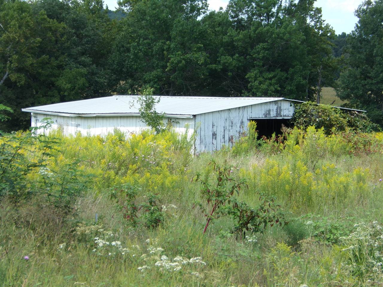 Listing Picture 1767 S Highway 105 Hardinsburg, KY 40143 MLS HK10045221