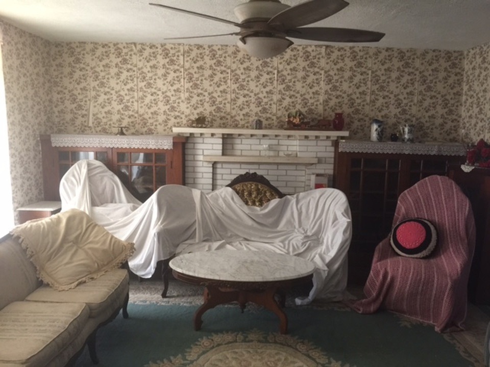 Listing Picture 110 Church Street Horse Cave, KY 42749 MLS HK10046767