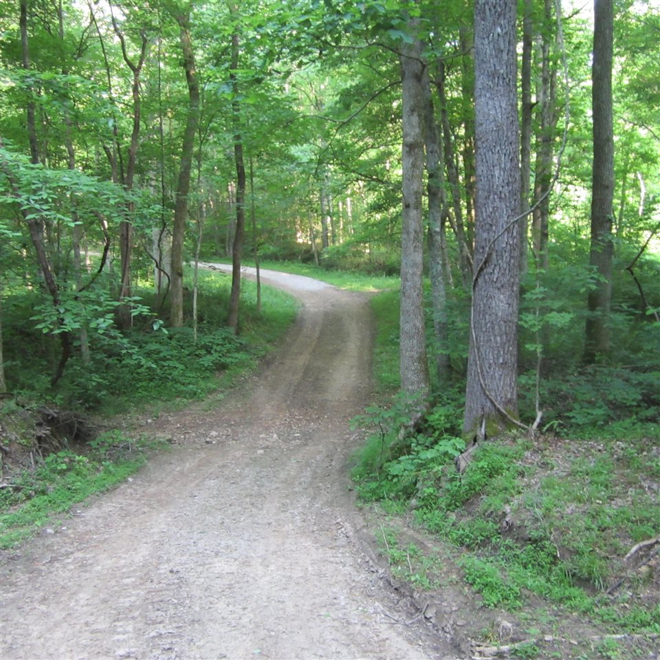 Listing Picture 850 Raymond-Lodiburg Road Webster, KY 40176 MLS HK10048496