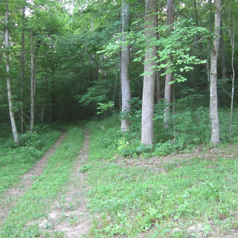 Listing Picture 850 Raymond-Lodiburg Road Webster, KY 40176 MLS HK10048496