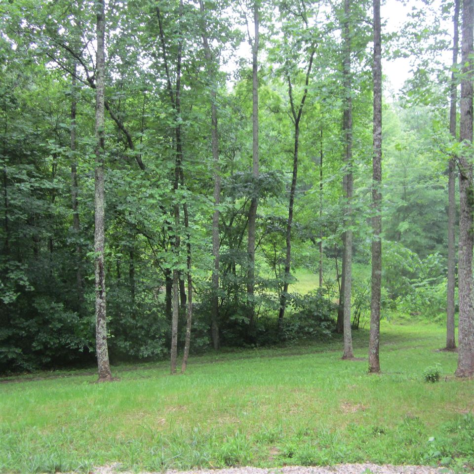 Listing Picture 850 Raymond-Lodiburg Road Webster, KY 40176 MLS HK10048496