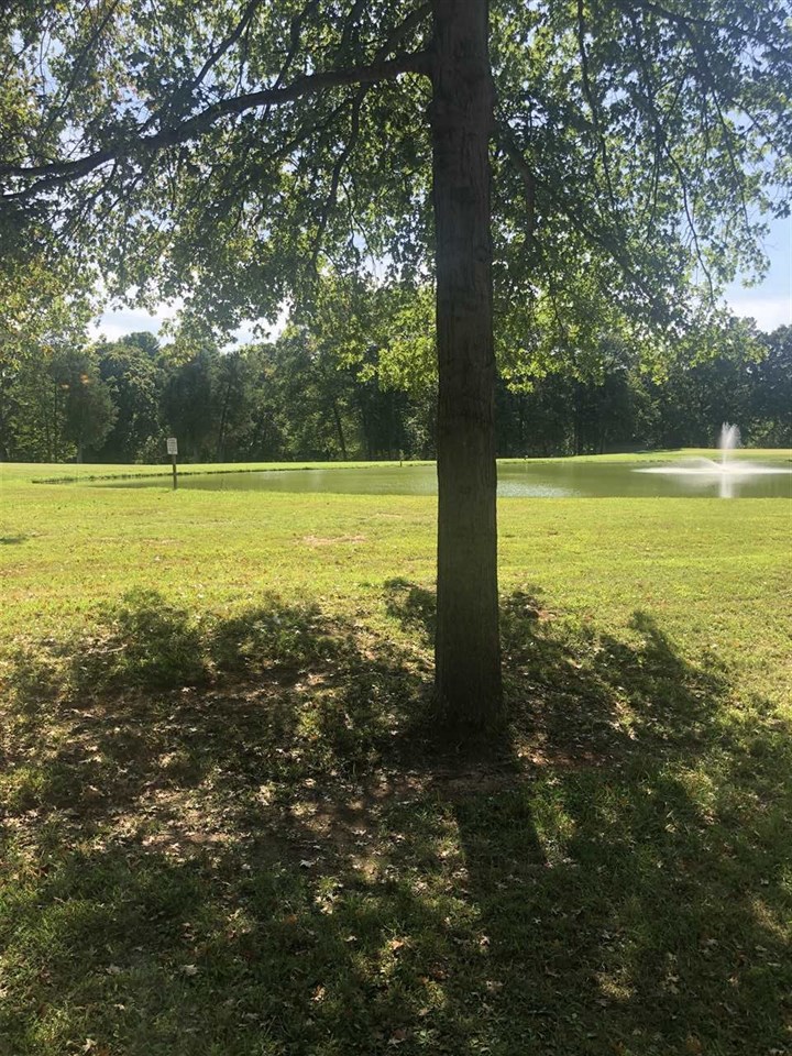 Listing Picture 501 Piping Rock Road Brandenburg, KY 40108 MLS HK10049140