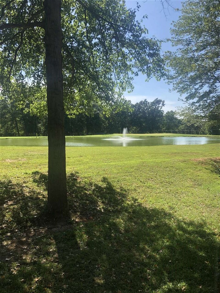 Listing Picture 501 Piping Rock Road Brandenburg, KY 40108 MLS HK10049140