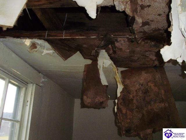 Listing Picture 217 Chandler Street Campbellsville, KY 42718 MLS HK10049975