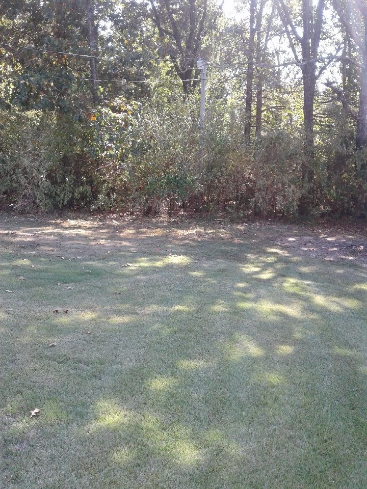 Listing Picture 224 Childress Road Leitchfield, KY 42754 MLS HK10050105