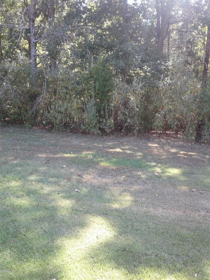 Listing Picture 224 Childress Road Leitchfield, KY 42754 MLS HK10050105