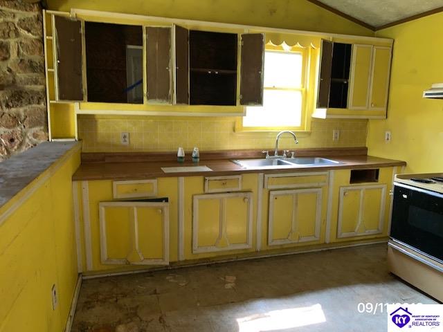 Listing Picture 271 George Lee Road Magnolia, KY 42757 MLS HK10049816