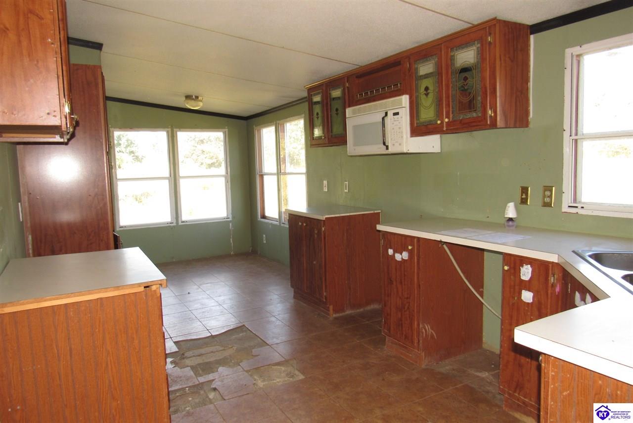 Listing Picture 3842 Hickory Flats Road Leitchfield, KY 42754 MLS HK10050011