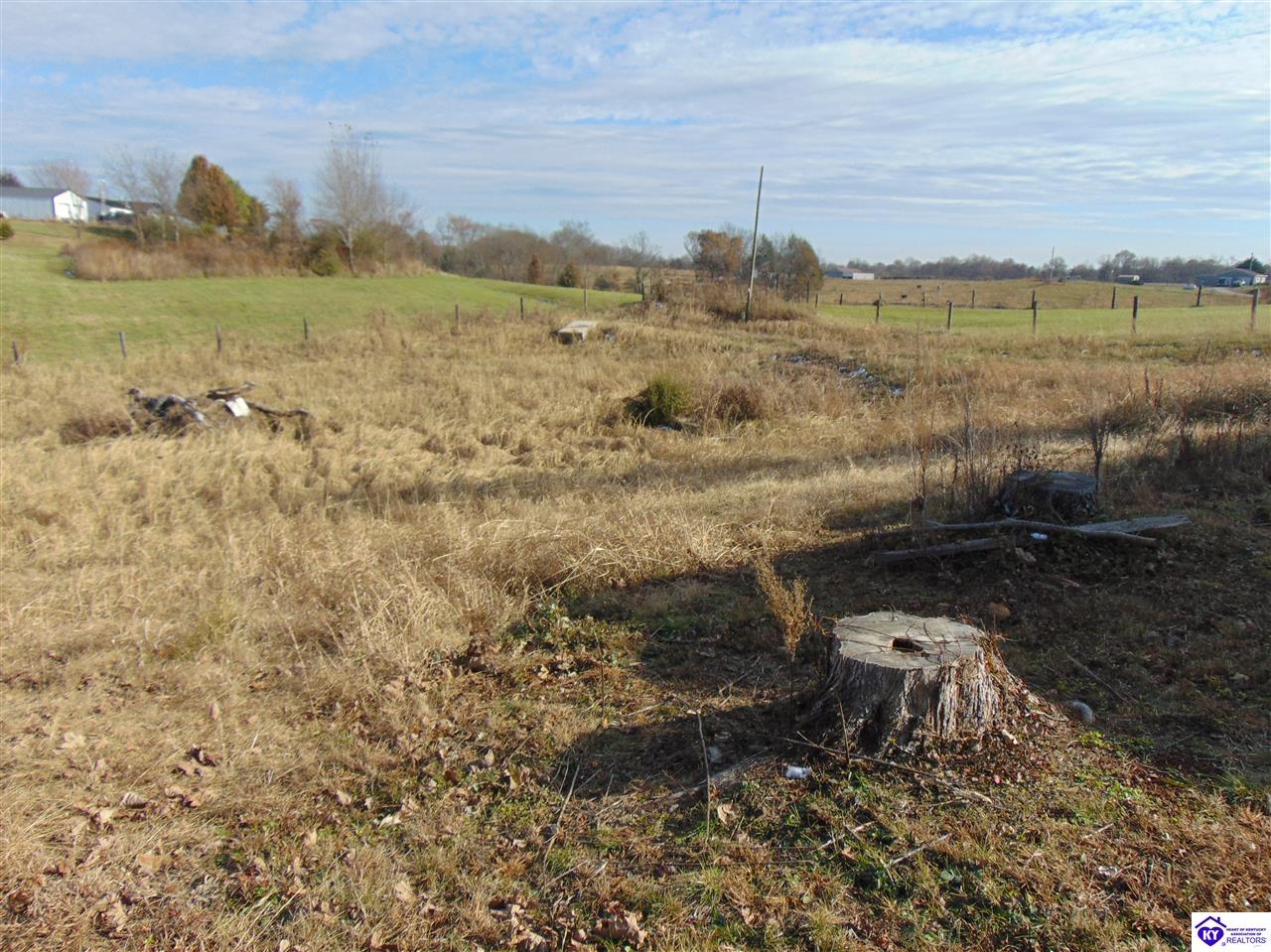 Listing Picture 3332 Rex Road Hardyville, KY 42746 MLS HK10050620