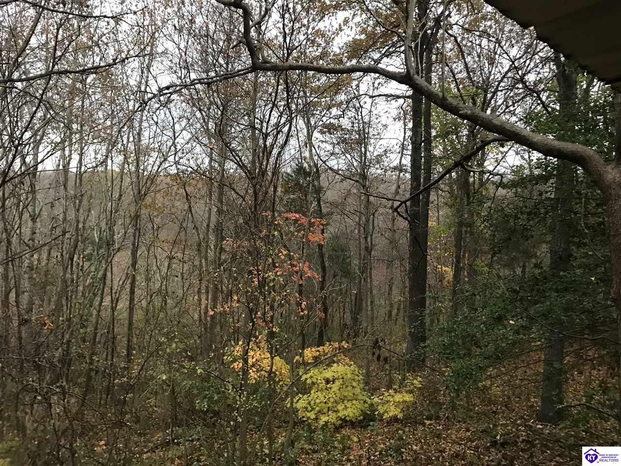 Listing Picture 1126 Hudgins Road Summersville, KY 42782 MLS HK10050641