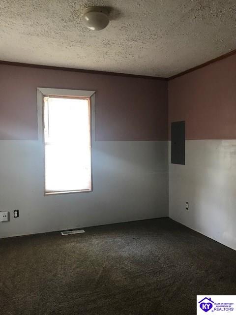 Listing Picture 213/211 S 6th Street West Point, KY 40117 MLS HK10050684