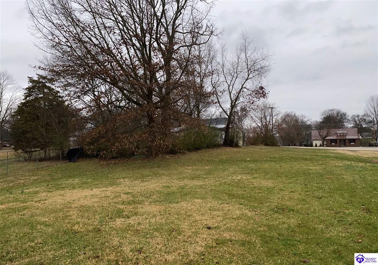 Listing Picture 516 N Munford Avenue Munfordville, KY 42765 MLS HK10050984