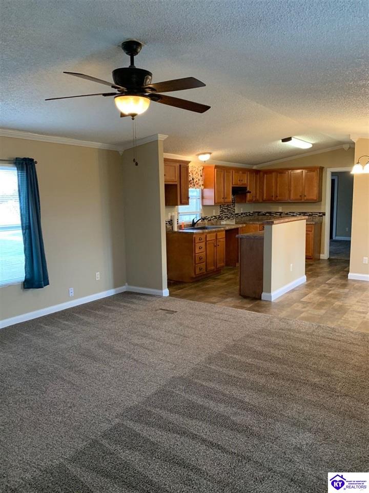 Listing Picture 222 Smith Chapel Road Campbellsville, KY 42718 MLS HK10051103