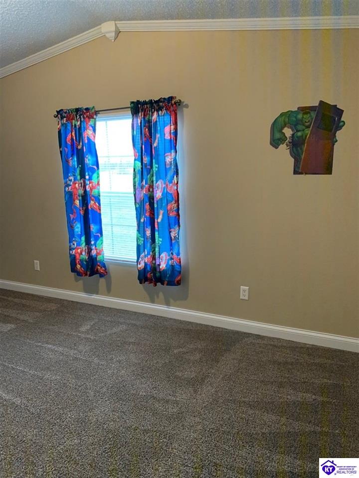 Listing Picture 222 Smith Chapel Road Campbellsville, KY 42718 MLS HK10051103