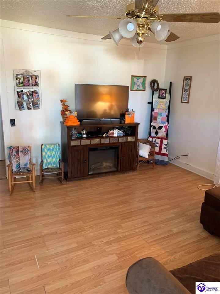 Listing Picture 344 W Maple Avenue Hodgenville, KY 42748 MLS HK10050787