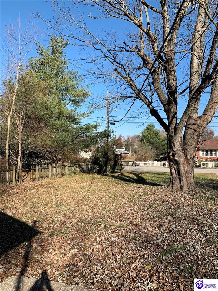 Listing Picture 344 W Maple Avenue Hodgenville, KY 42748 MLS HK10050787