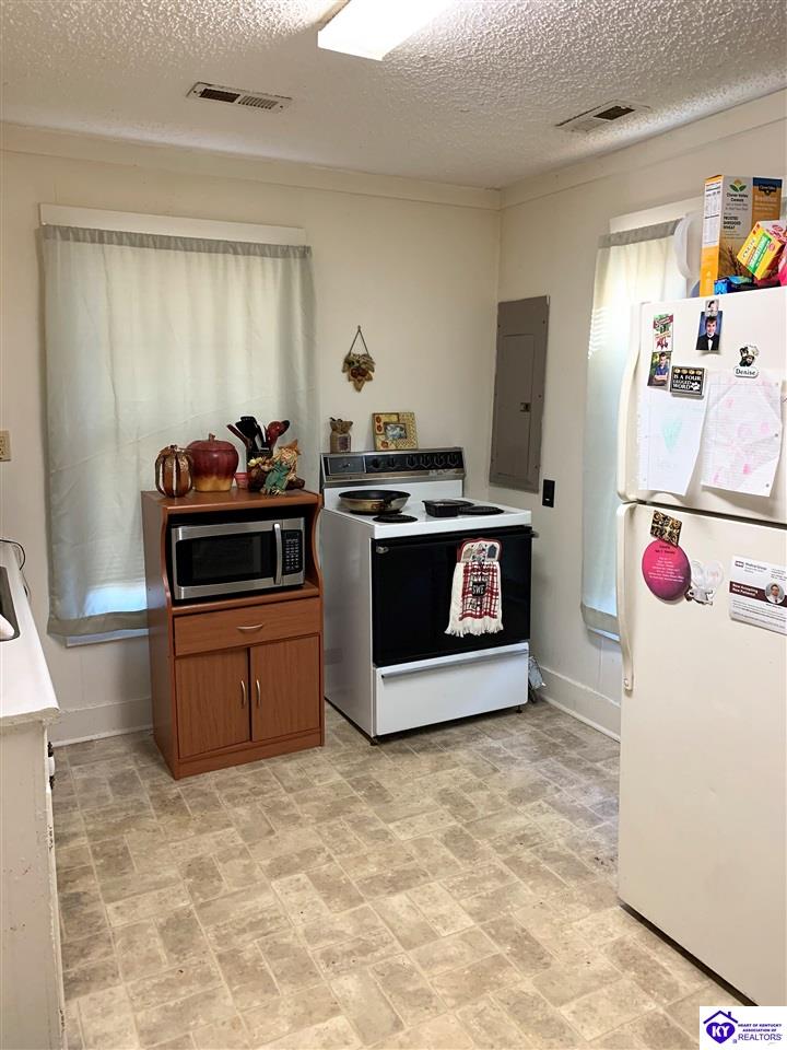 Listing Picture 344 W Maple Avenue Hodgenville, KY 42748 MLS HK10050787