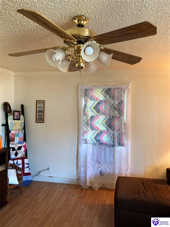 Listing Picture 344 W Maple Avenue Hodgenville, KY 42748 MLS HK10050787