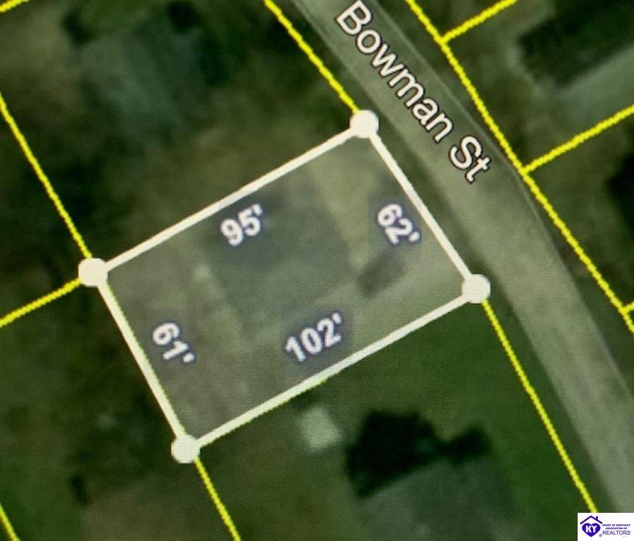 Listing Picture 419 Bowman Street Campbellsville, KY 42718 MLS HK10050798