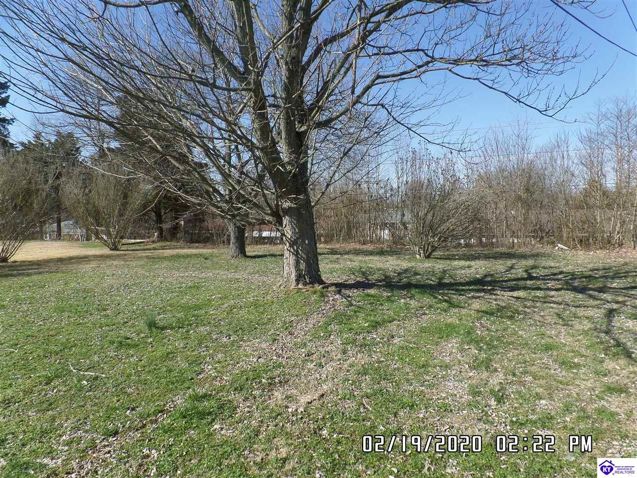 Listing Picture 617 Carolyn Street Radcliff, KY 40160 MLS HK10051495