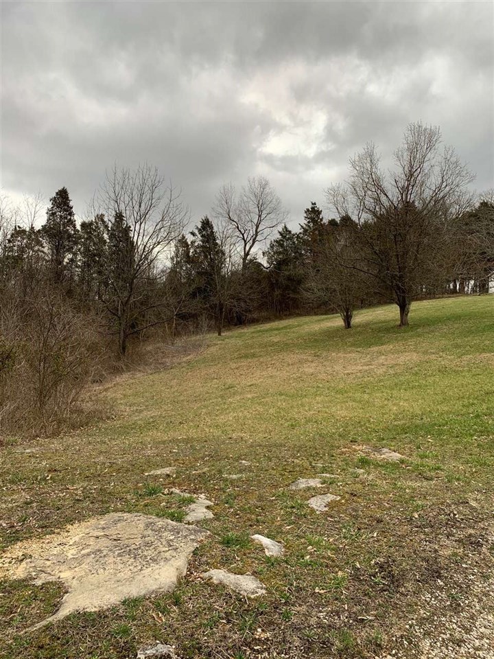 Listing Picture 8003 Highway 261 Irvington, KY 40146 MLS HK10051768