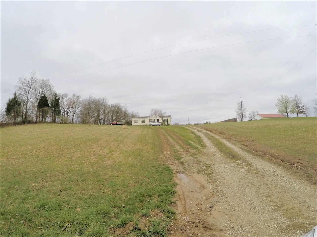 Listing Picture 65 Orrender School Road Magnolia, KY 42757 MLS HK10051851