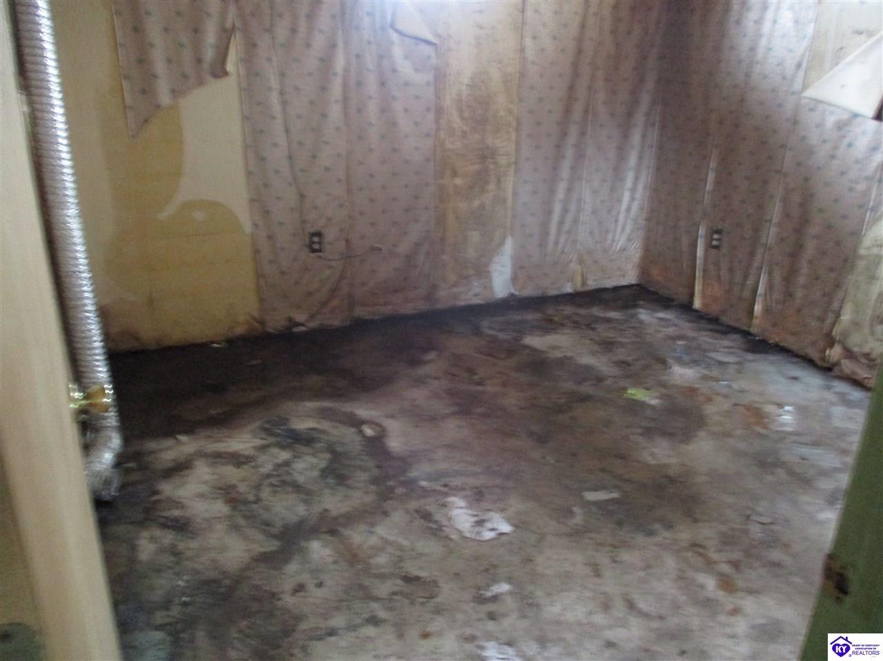 Listing Picture 445 McStouts Road Caneyville, KY 42721 MLS HK10051845