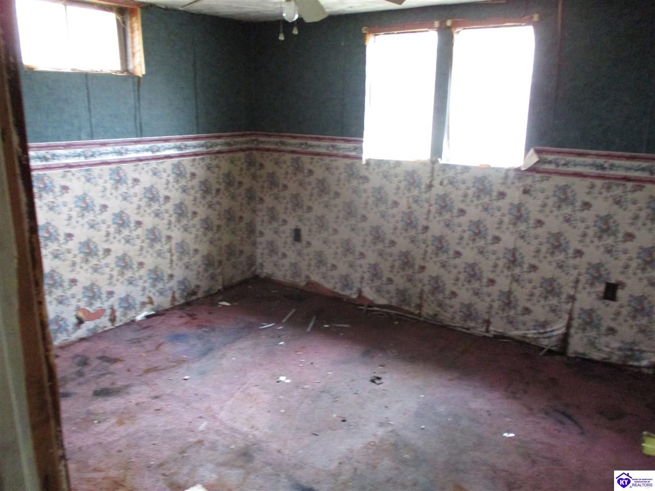 Listing Picture 445 McStouts Road Caneyville, KY 42721 MLS HK10051845