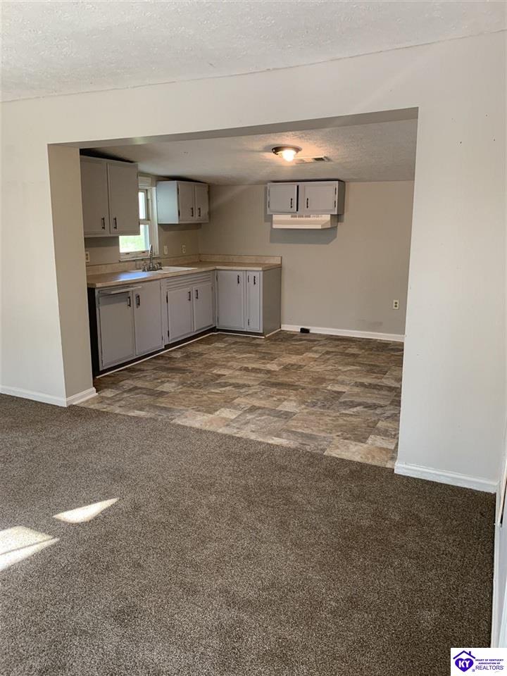 Listing Picture 3722 Hardinsburg Road Cecilia, KY 42724 MLS HK10051904