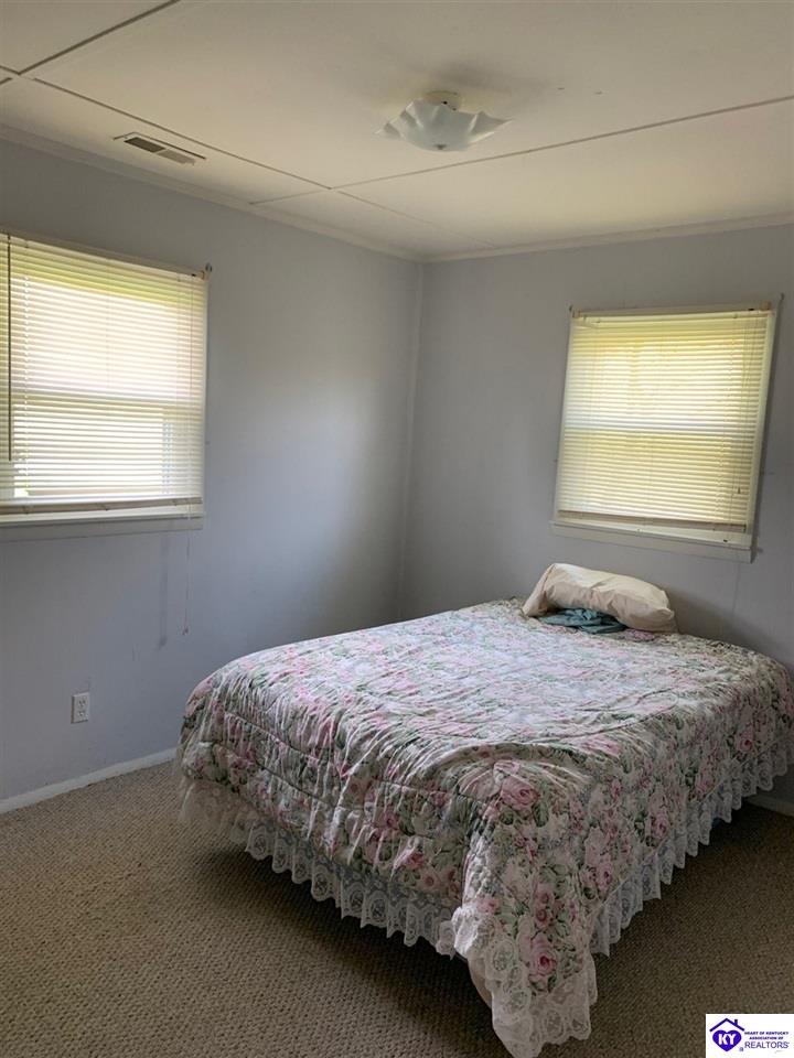 Listing Picture 5925 Haysville Road Guston, KY 40142 MLS HK10052056