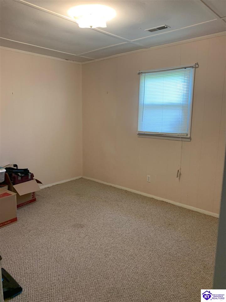 Listing Picture 5925 Haysville Road Guston, KY 40142 MLS HK10052056