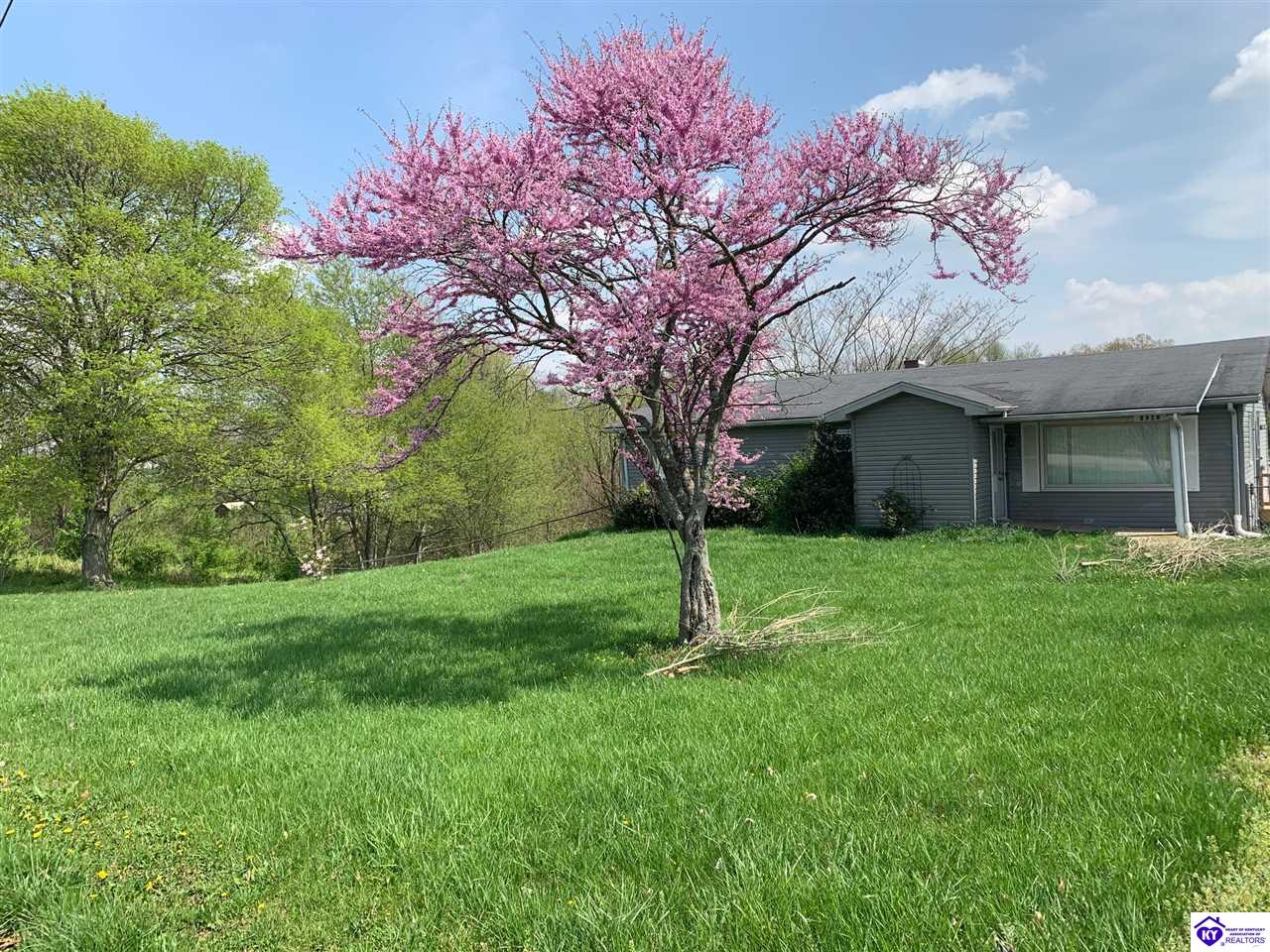 Listing Picture 5925 Haysville Road Guston, KY 40142 MLS HK10052056