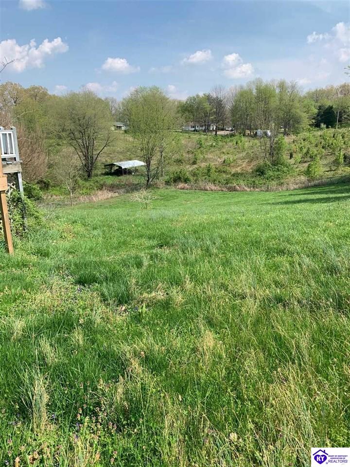 Listing Picture 5925 Haysville Road Guston, KY 40142 MLS HK10052056