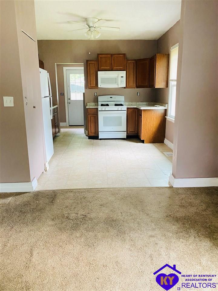 Listing Picture 101 Vertrees Court Elizabethtown, KY 42701 MLS HK10052642