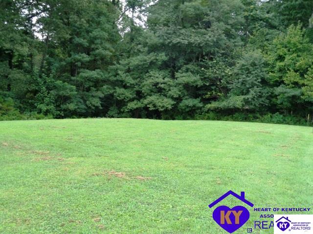 Listing Picture 1002 Sprowles Ridge Road Campbellsville, KY 42718 MLS HK10053571