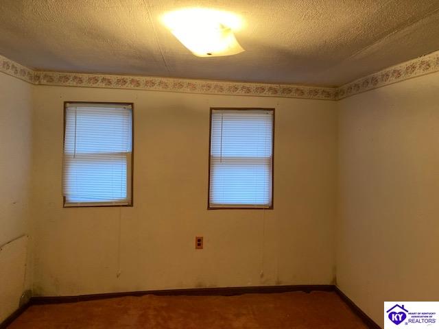 Listing Picture 122 Lawrence Lane McDaniels, KY 40152 MLS HK10050737