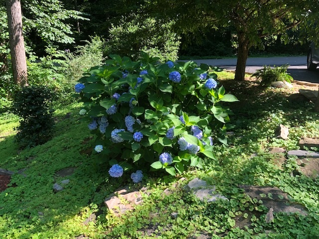 Listing Picture 305 Woods Road Elizabethtown, KY 42701 MLS HK10051284