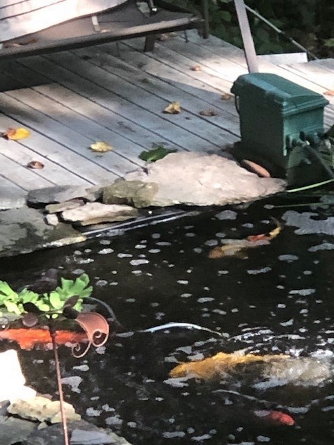 Listing Picture 305 Woods Road Elizabethtown, KY 42701 MLS HK10051284