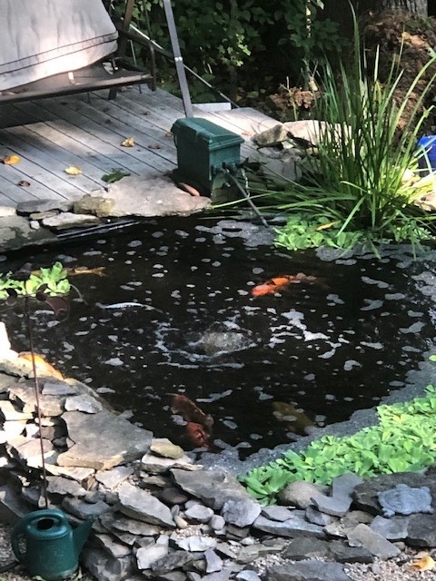 Listing Picture 305 Woods Road Elizabethtown, KY 42701 MLS HK10051284