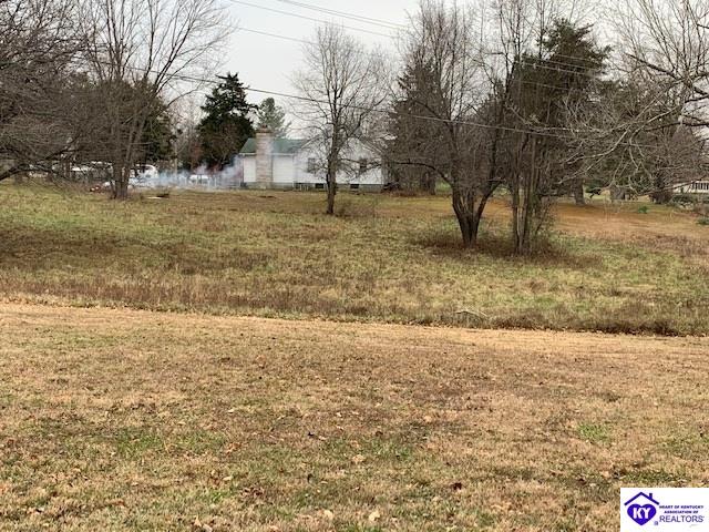 Listing Picture 2612 Hill Street Vine Grove, KY 41075 MLS HK10050921